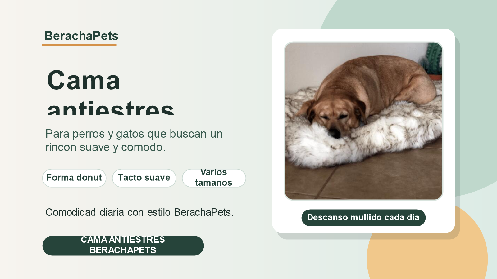 Banner corporativo BerachaPets para cama antiestres de perro y gato