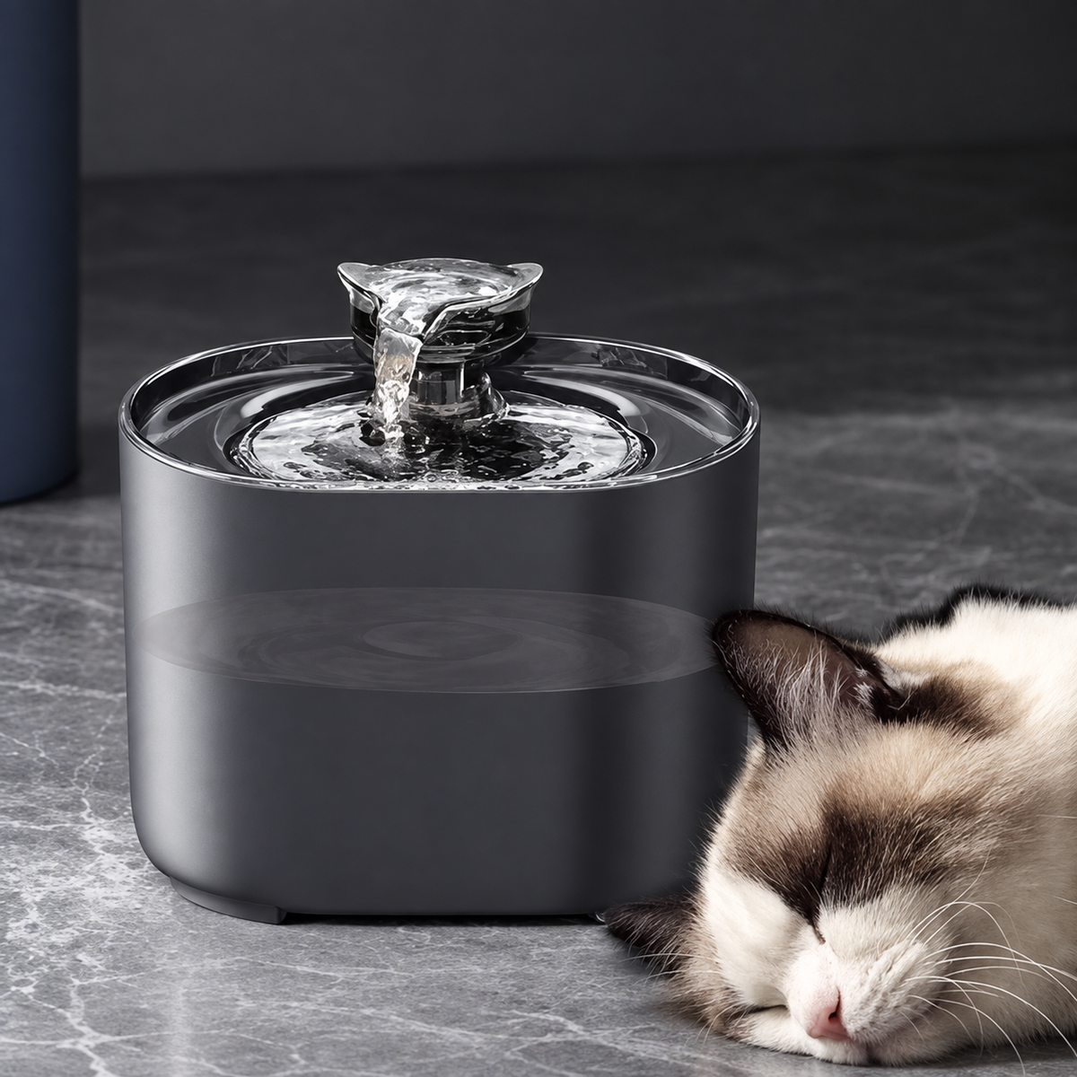 Fuente automática negra Standard EU junto a un gato. Foto del proveedor retocada para retirar textos.