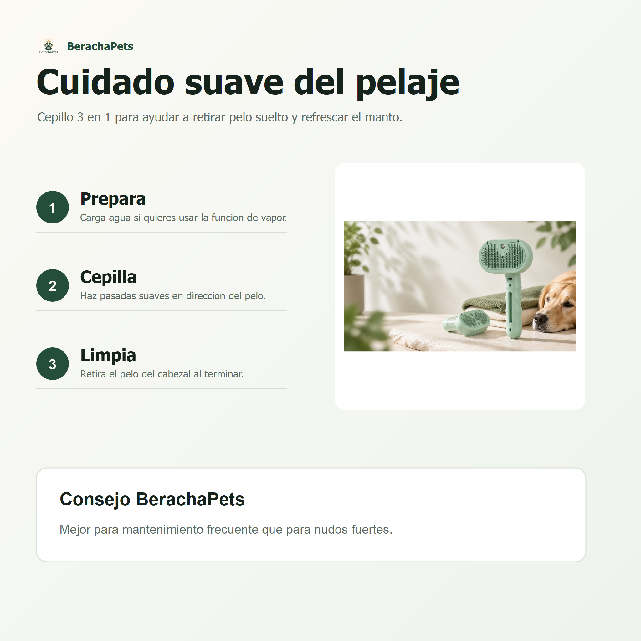 Cepillo de Vapor 3 en 1 BerachaPets - infografia 2