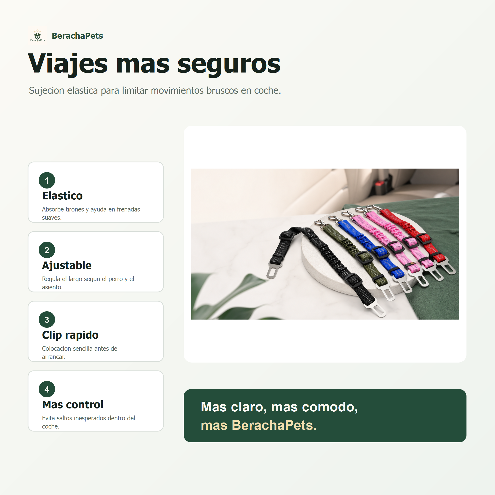 Cinturón elástico BerachaPets - infografia 1