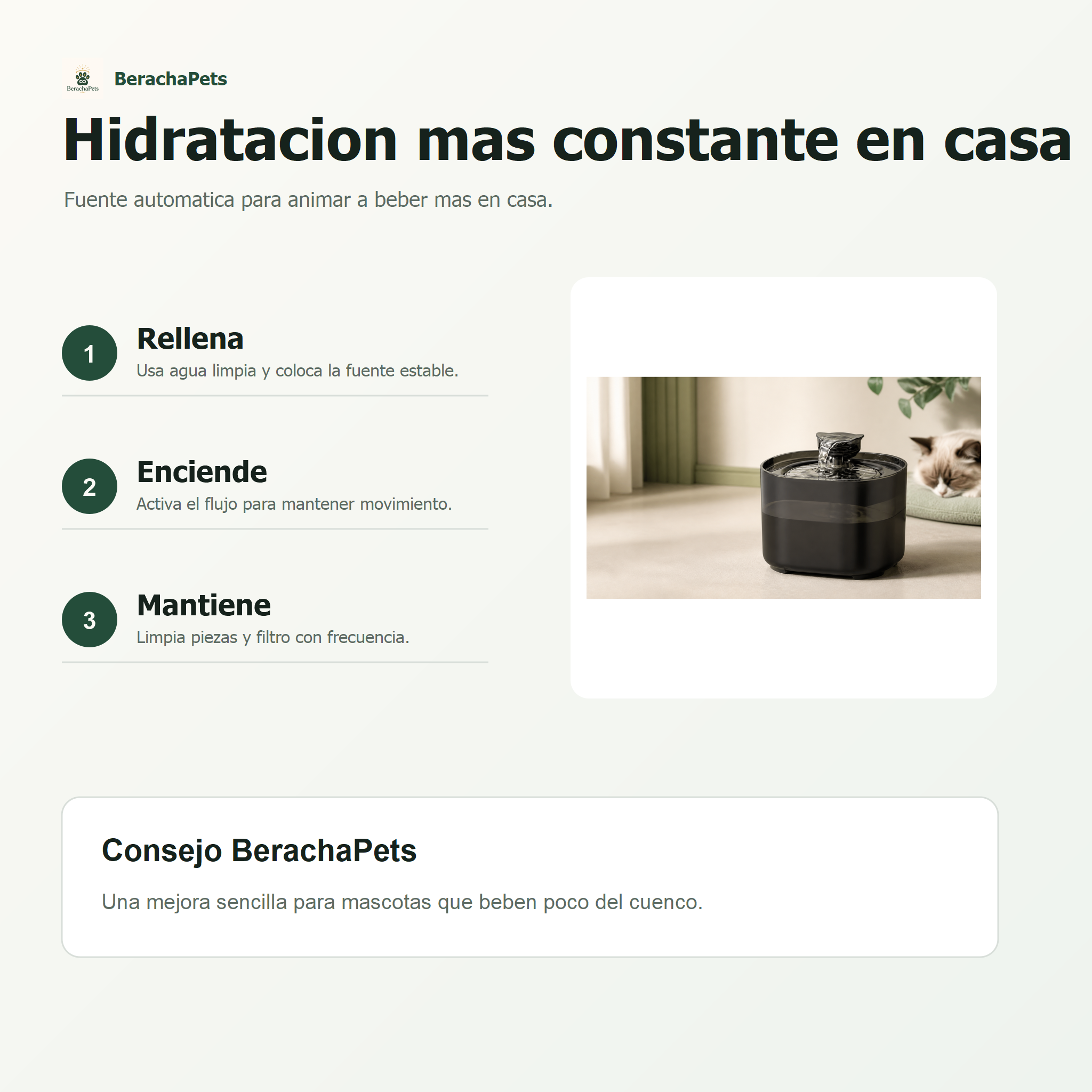 Fuente automática BerachaPets - infografia 2